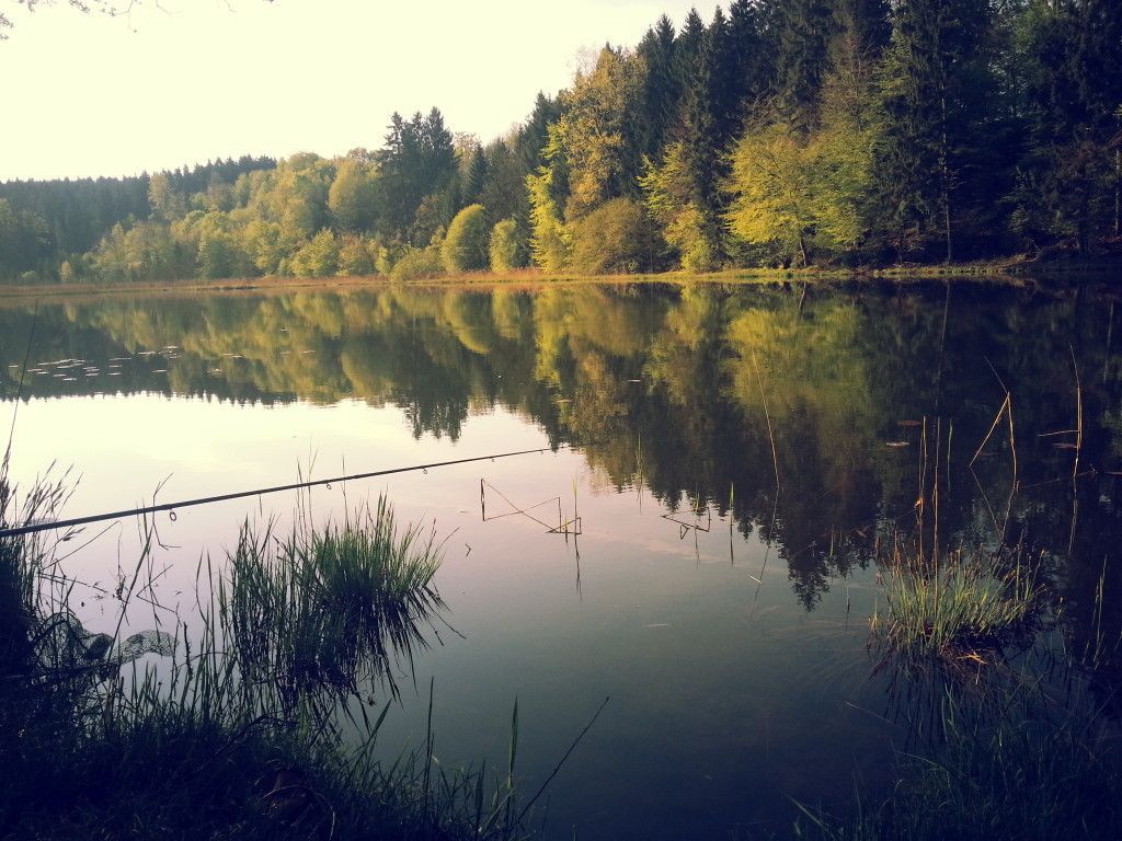 Thanninger Weiher I II III